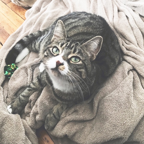 Hi! I’m Kaelah 👋🏻 - Picture 3 of 5